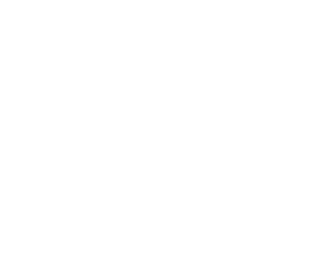 Ironberg Logo