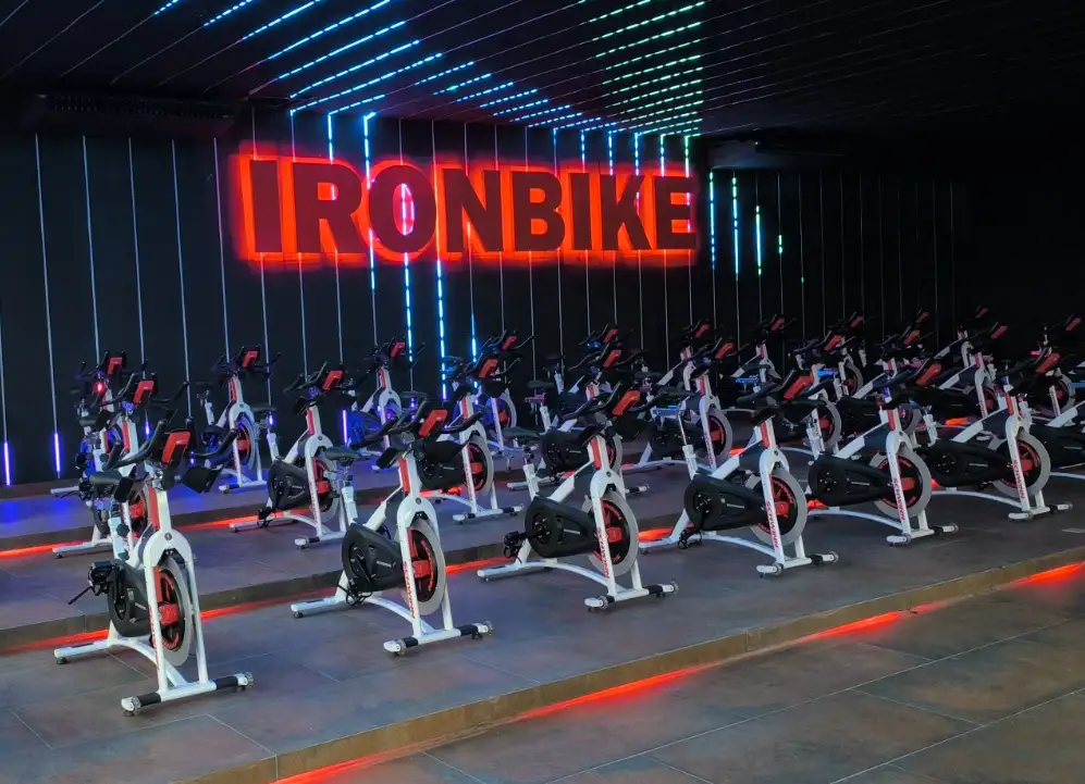 Professores da Ironberg